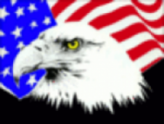 Bald eagle in front of US flag